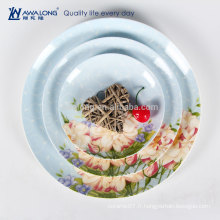 Conception personnalisée de style naturel Fine Bone China Porcelaine Plats et plats à la porcelaine